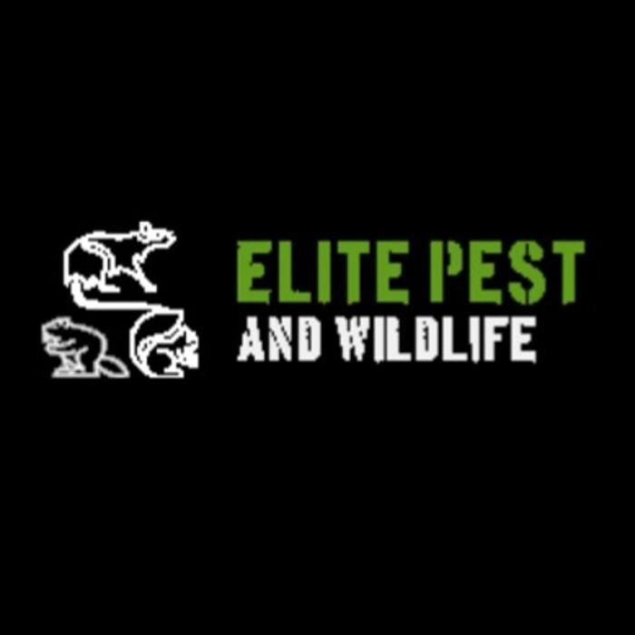 ELITE PEST & WILDLIFE REMOVAL Logo