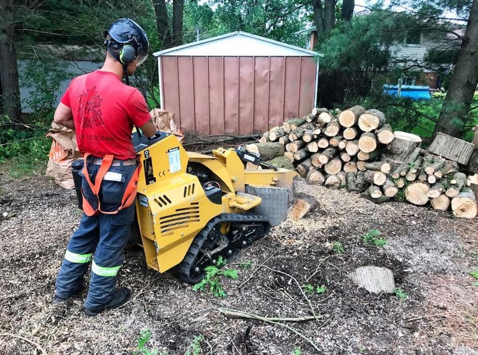 Images Jolly Loggers Tree Service