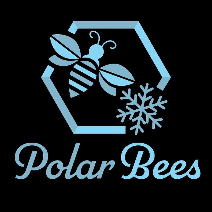 Polar Bees Auto Detailing Logo