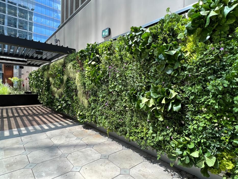 Images Vertical Landscape Architects Inc