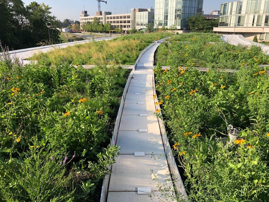 Images Vertical Landscape Architects Inc