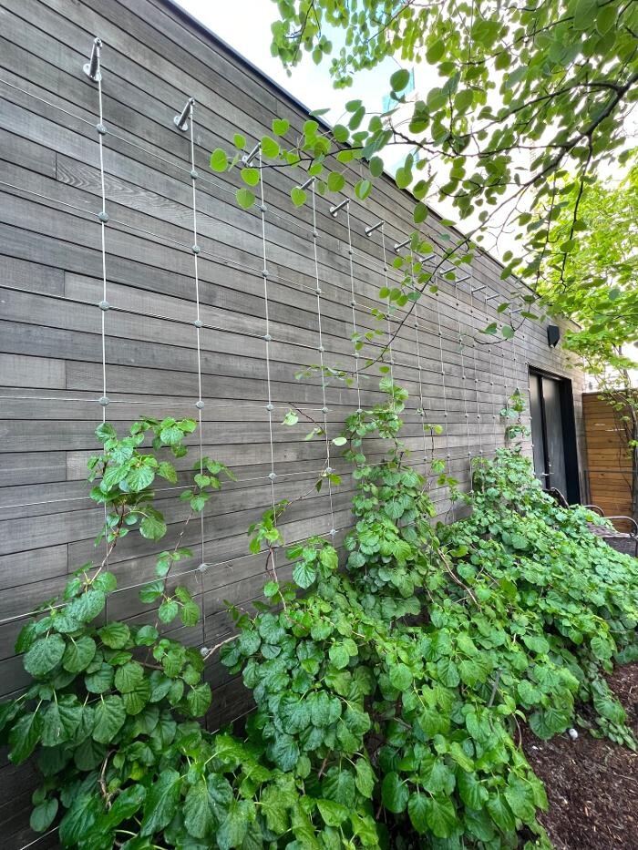 Images Vertical Landscape Architects Inc