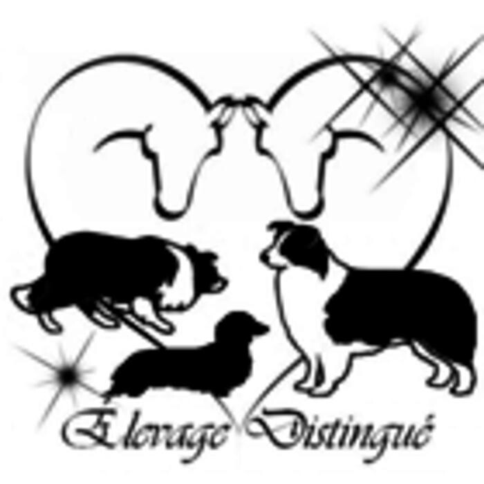 Élevage Distingué Logo