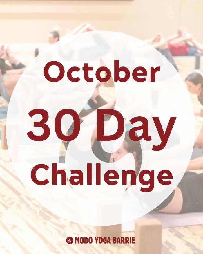 Images Modo Yoga Barrie