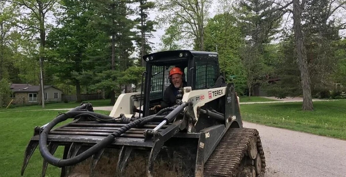 Images Beaver Tree Removal