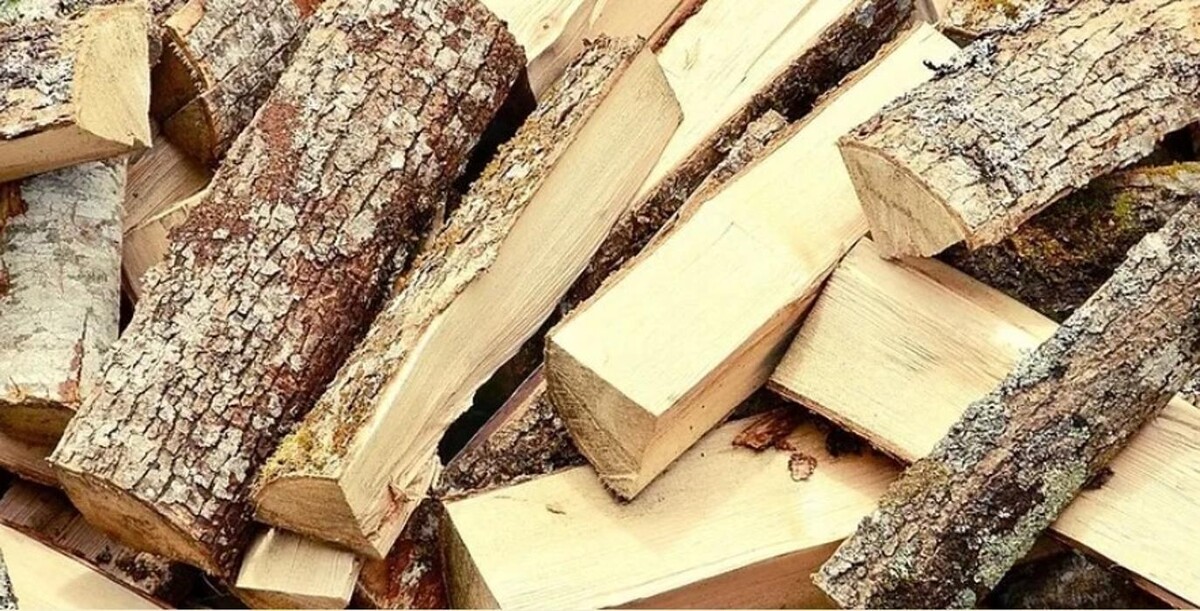 Images Beaver Tree Removal