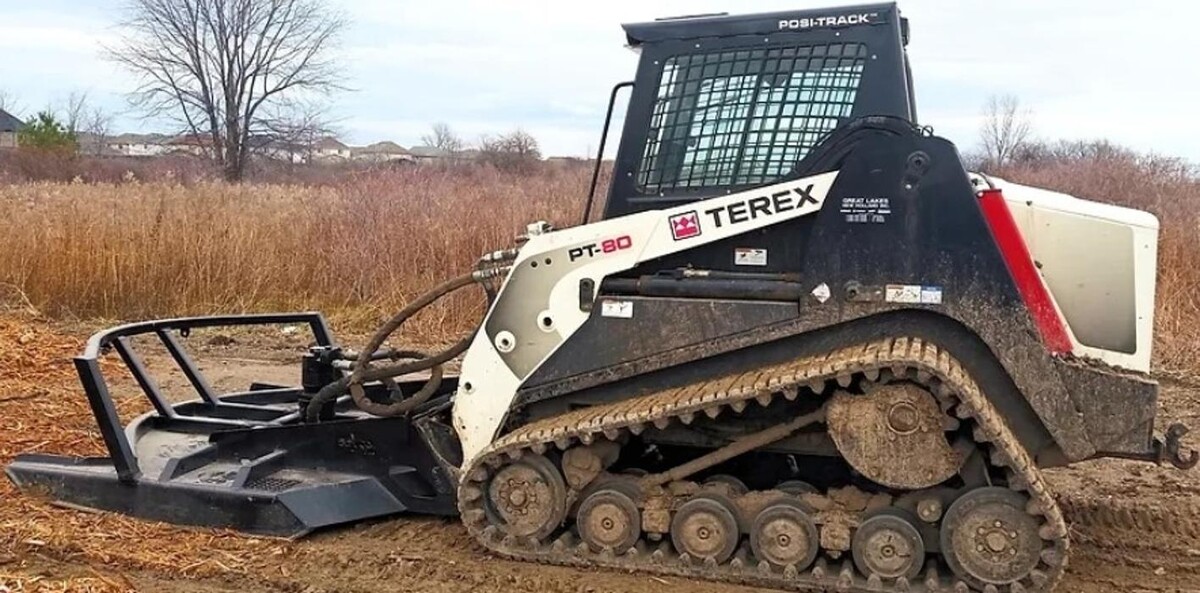 Images Beaver Tree Removal