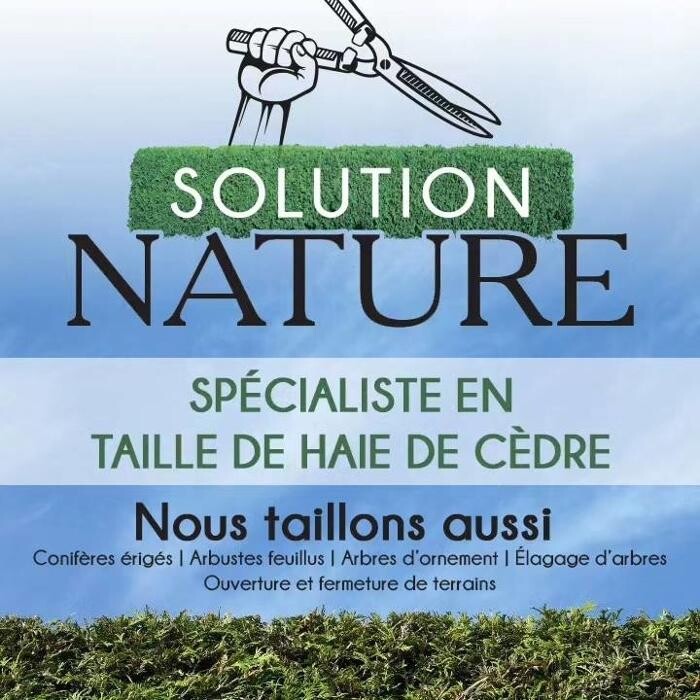 Images Solution Nature