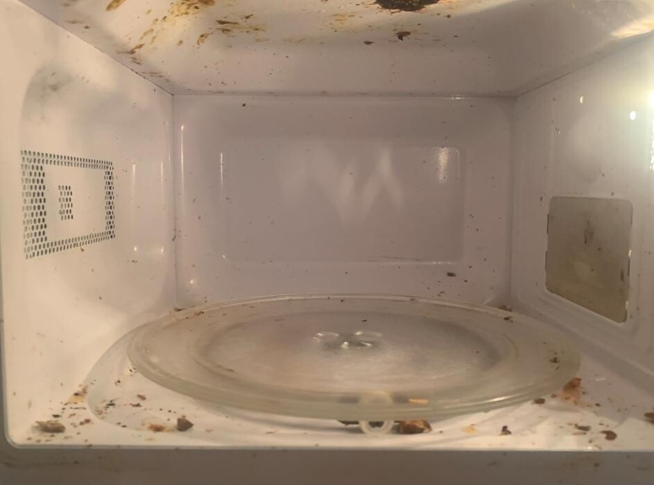 Images Eco Alpine Cleaning Services