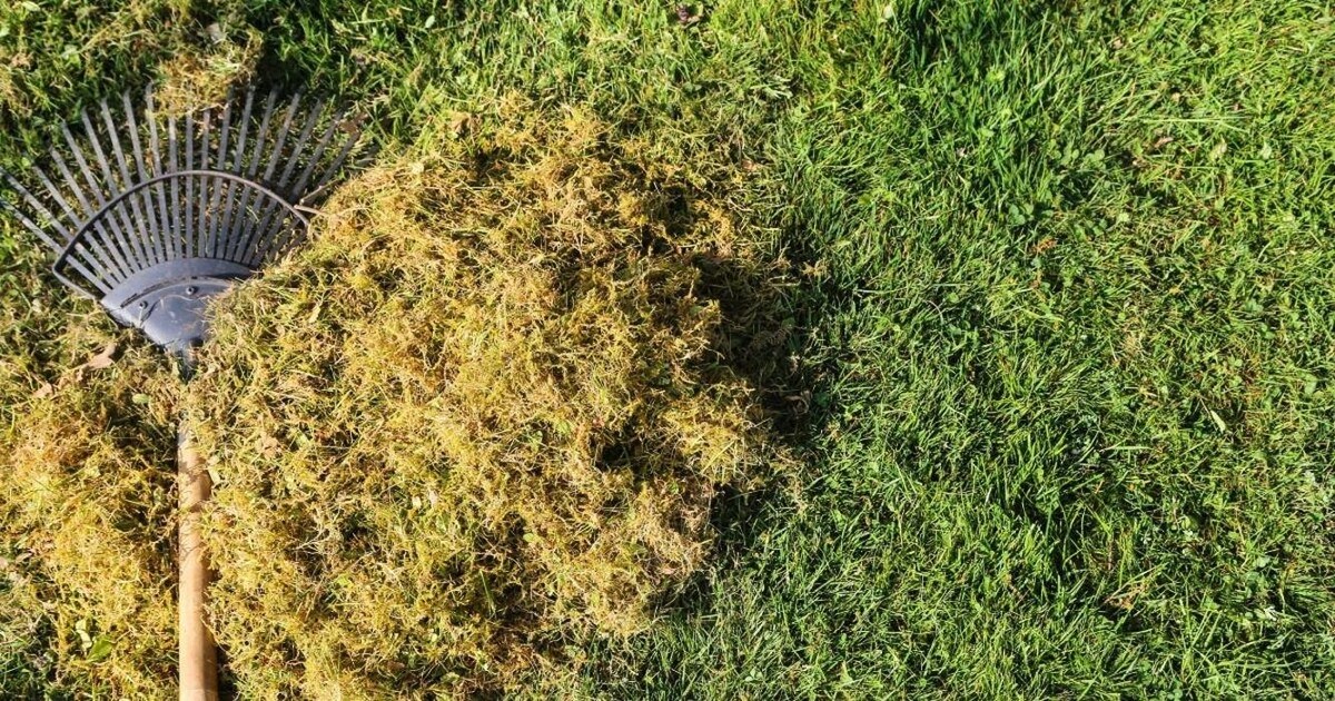 Images Francis Pothier MultiService