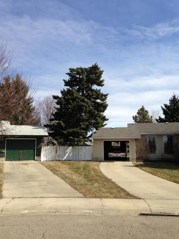 Images Buck Tree Services & Bucket Truck