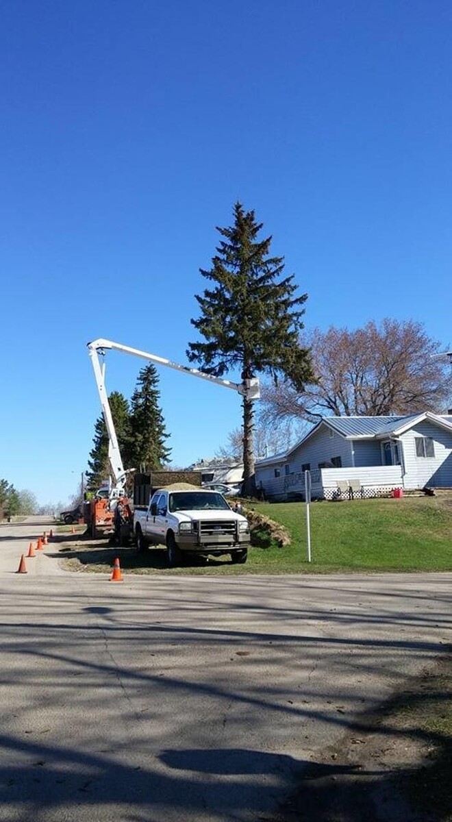 Images Buck Tree Services & Bucket Truck