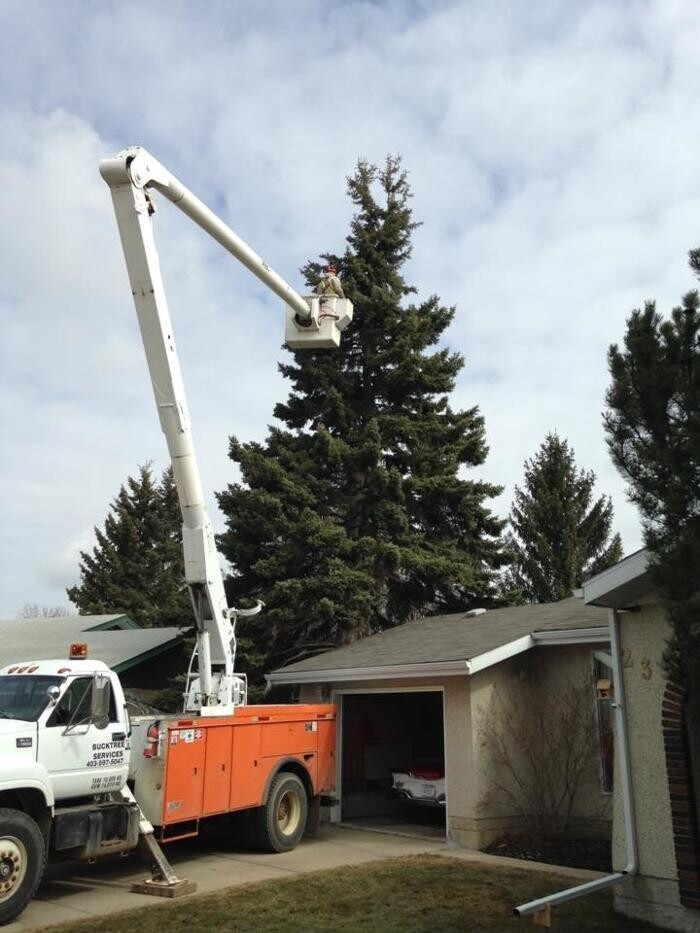 Images Buck Tree Services & Bucket Truck