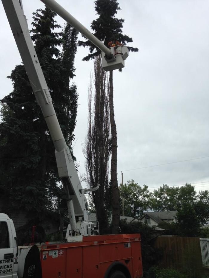 Images Buck Tree Services & Bucket Truck