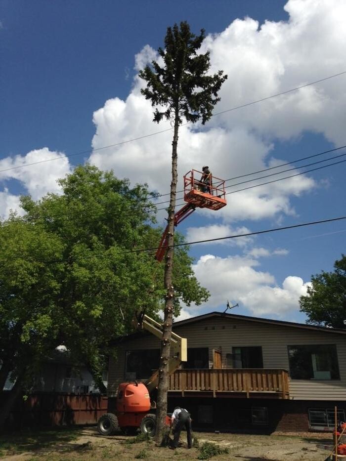 Images Buck Tree Services & Bucket Truck