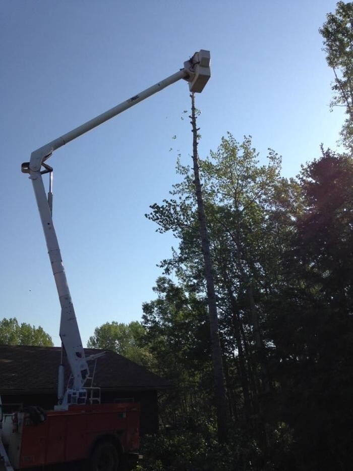 Images Buck Tree Services & Bucket Truck
