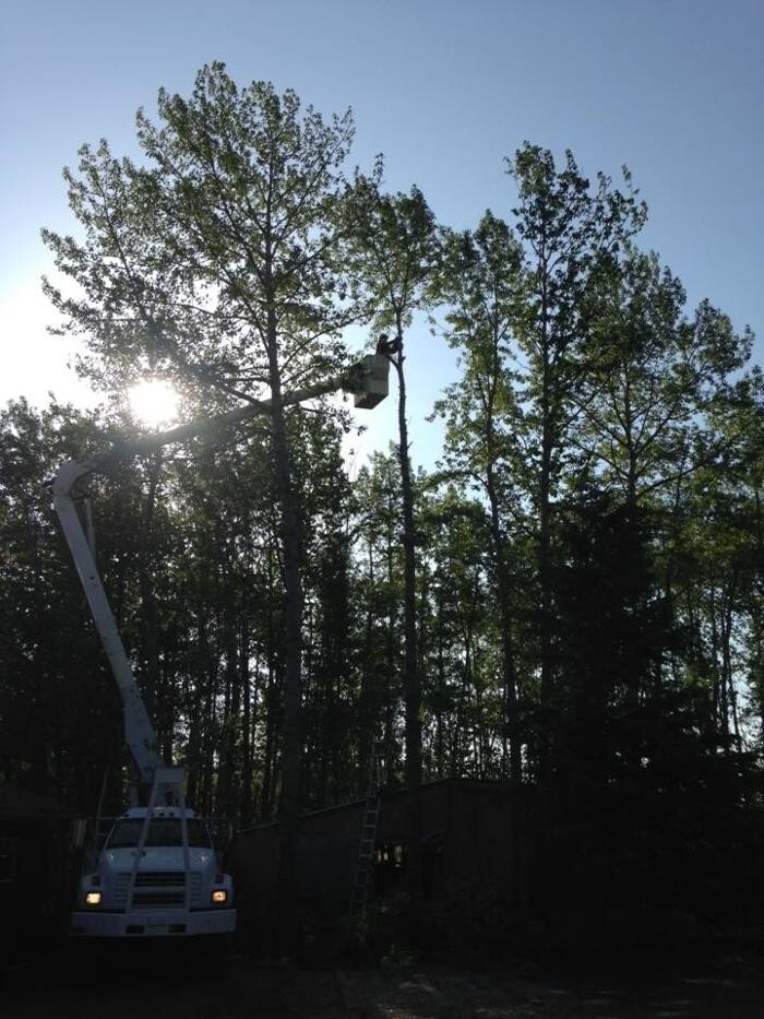 Images Buck Tree Services & Bucket Truck