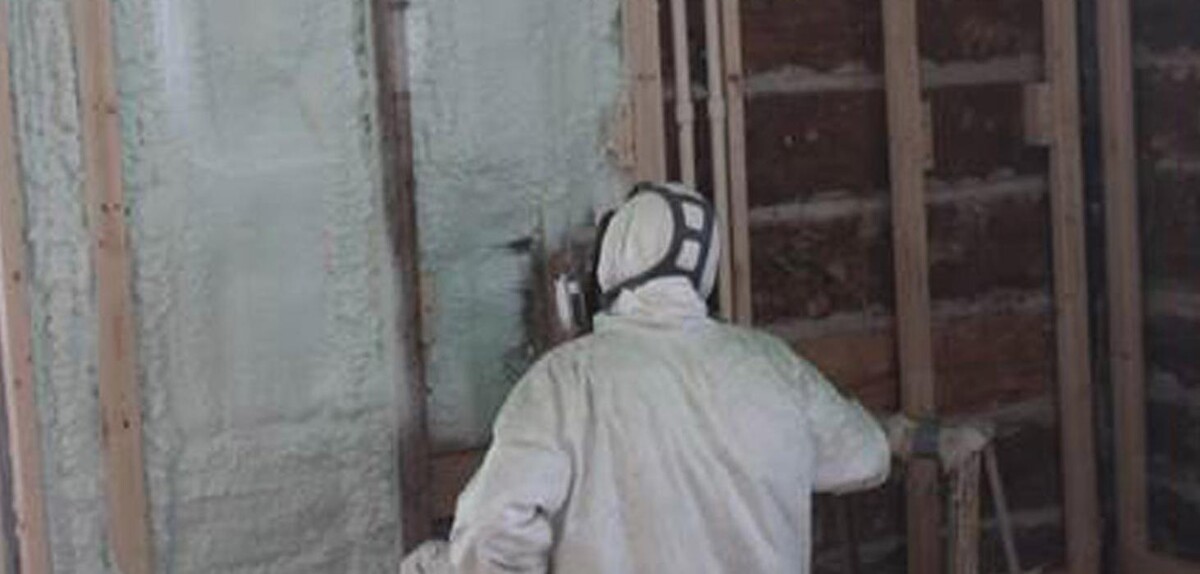 Images Isolation Morin