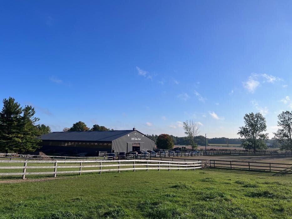 Images Rolling Gait Canine Centre