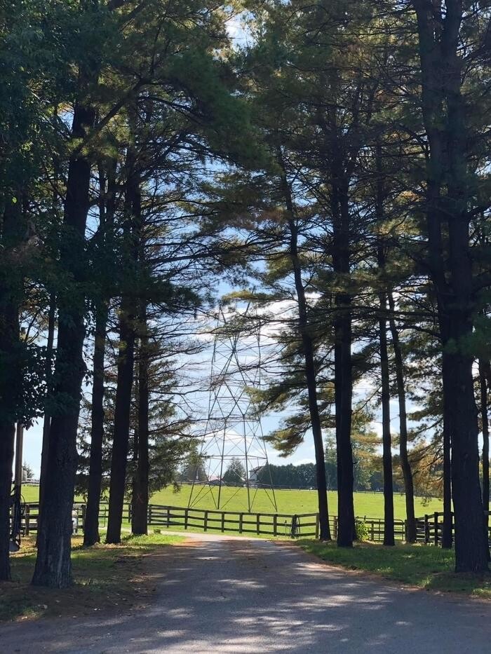 Images Rolling Gait Canine Centre