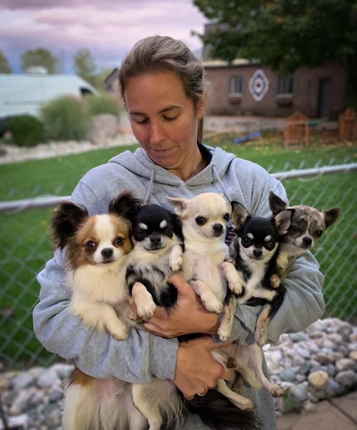 Images Rolling Gait Canine Centre