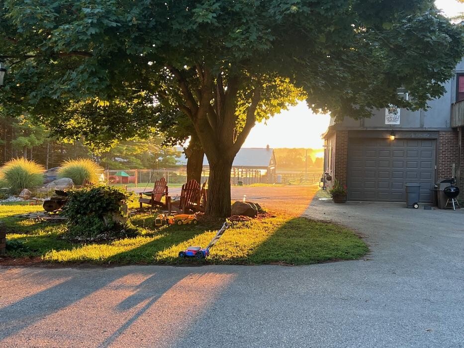 Images Rolling Gait Canine Centre