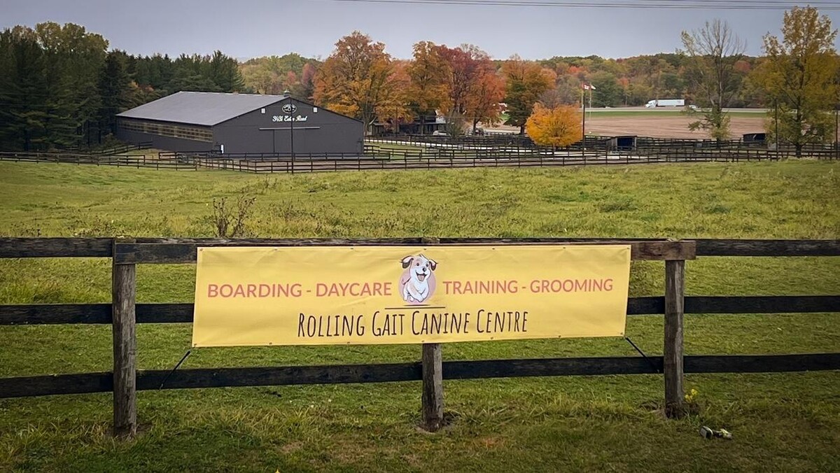 Images Rolling Gait Canine Centre