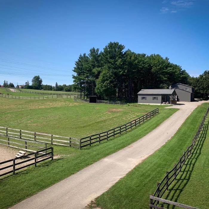 Images Rolling Gait Canine Centre