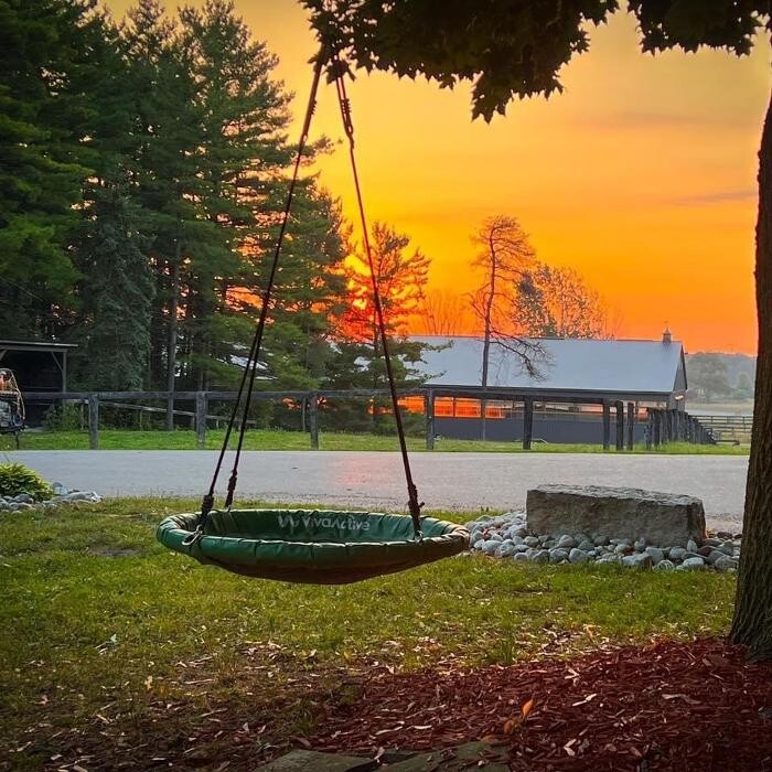 Images Rolling Gait Canine Centre