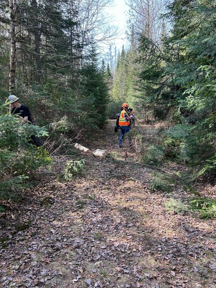 Images BEast Tree Service