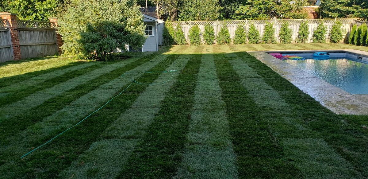 Images Wildroses Landscaping Corp