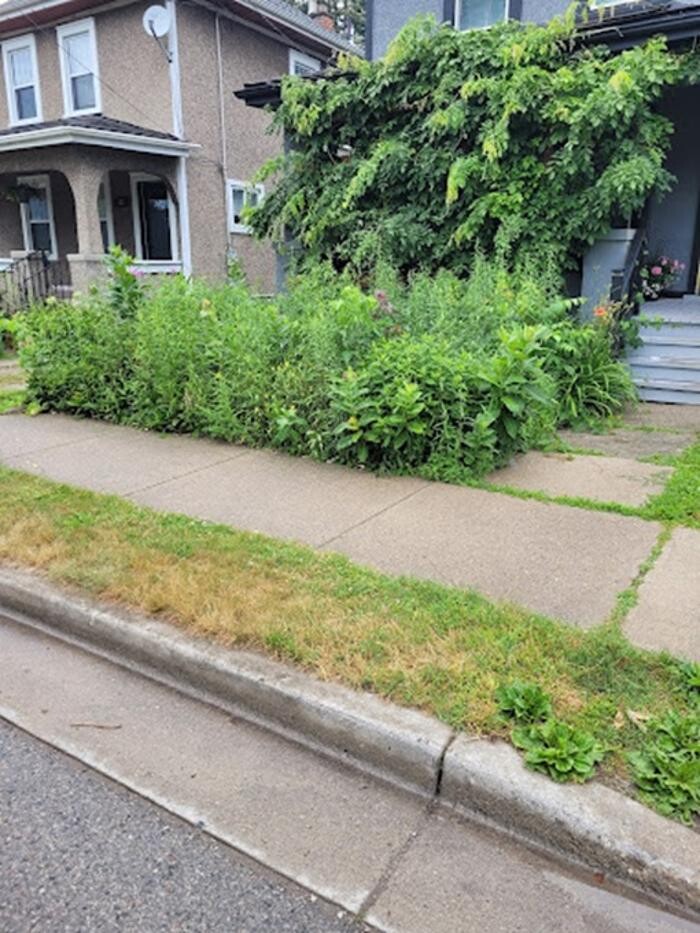 Images Wildroses Landscaping Corp