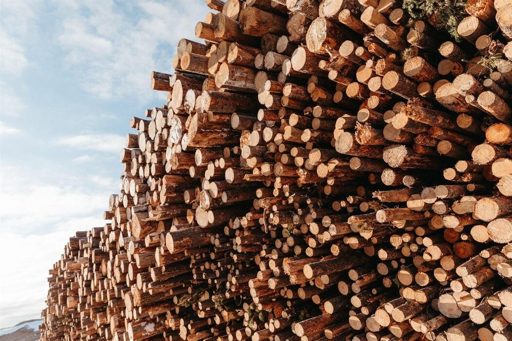 Images Parallel Lumber Group | Parallel55