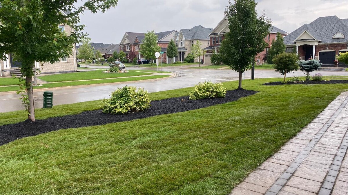 Images Green Yard Landscaping & Snow Removal