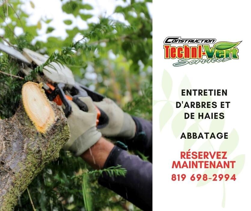 Images Construction Techni-Vert Services
