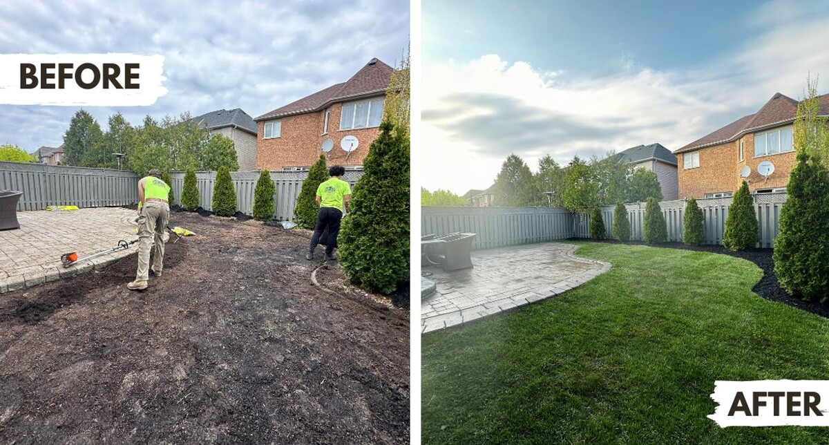 Images Andrew Tannus' Student Lawn Services