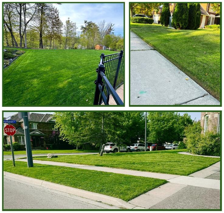 Images Andrew Tannus' Student Lawn Services