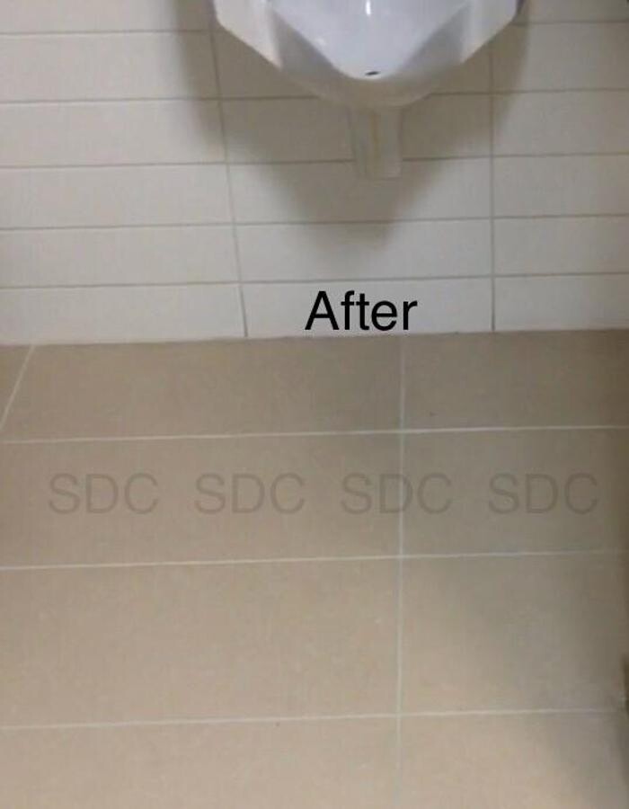 Images SDC Carpet & Tile Cleaning