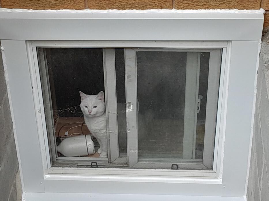 Images Window Door Service Repair4U