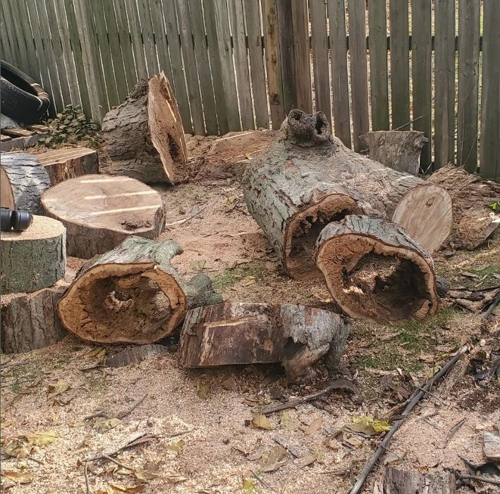 Images Lawn Wizard Tree & Property Maintenance