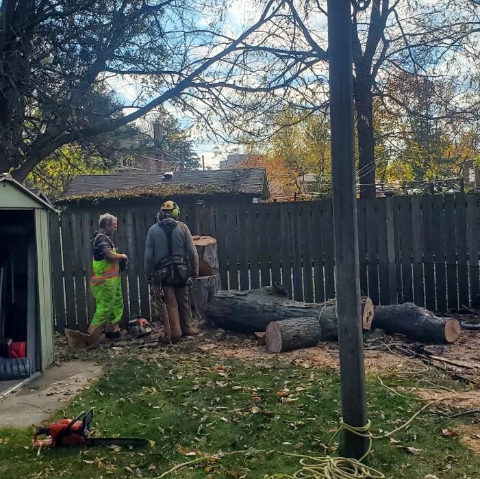 Images Lawn Wizard Tree & Property Maintenance