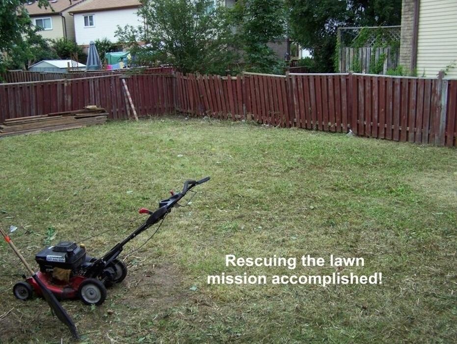 Images Lawn Wizard Tree & Property Maintenance