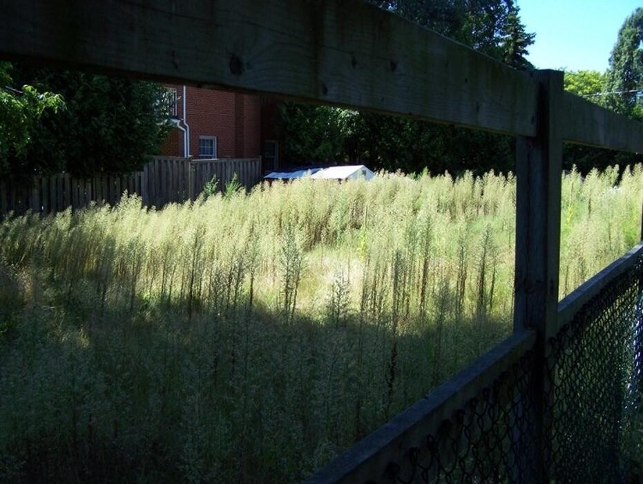 Images Lawn Wizard Tree & Property Maintenance