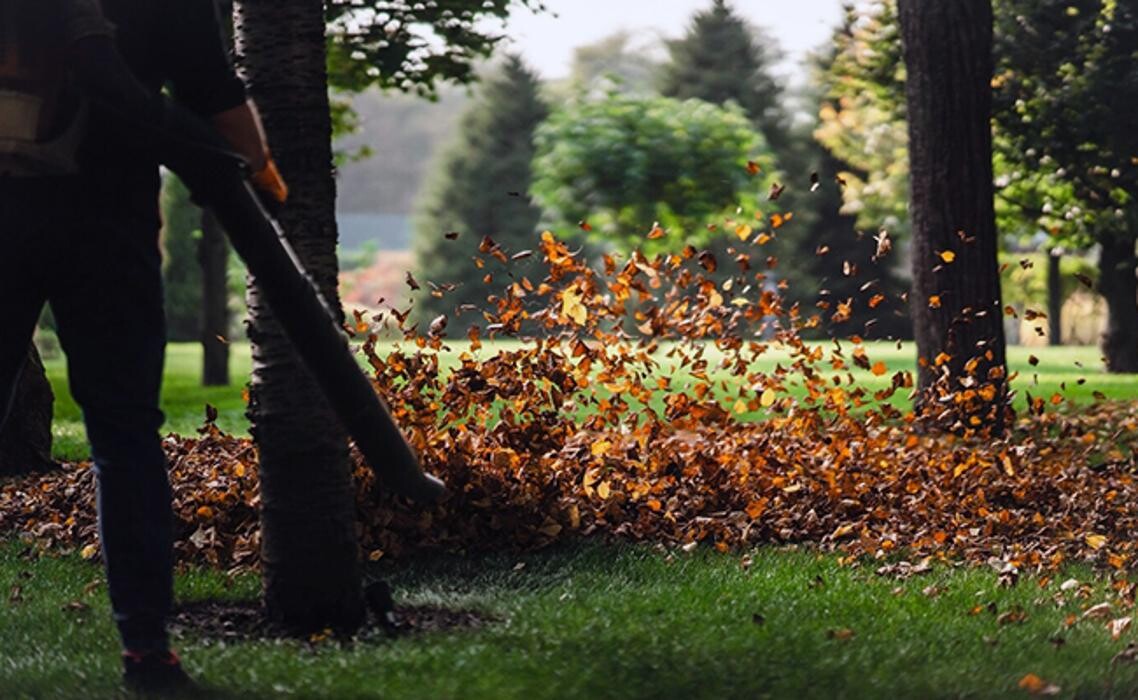 Images Arbour Lawn Care