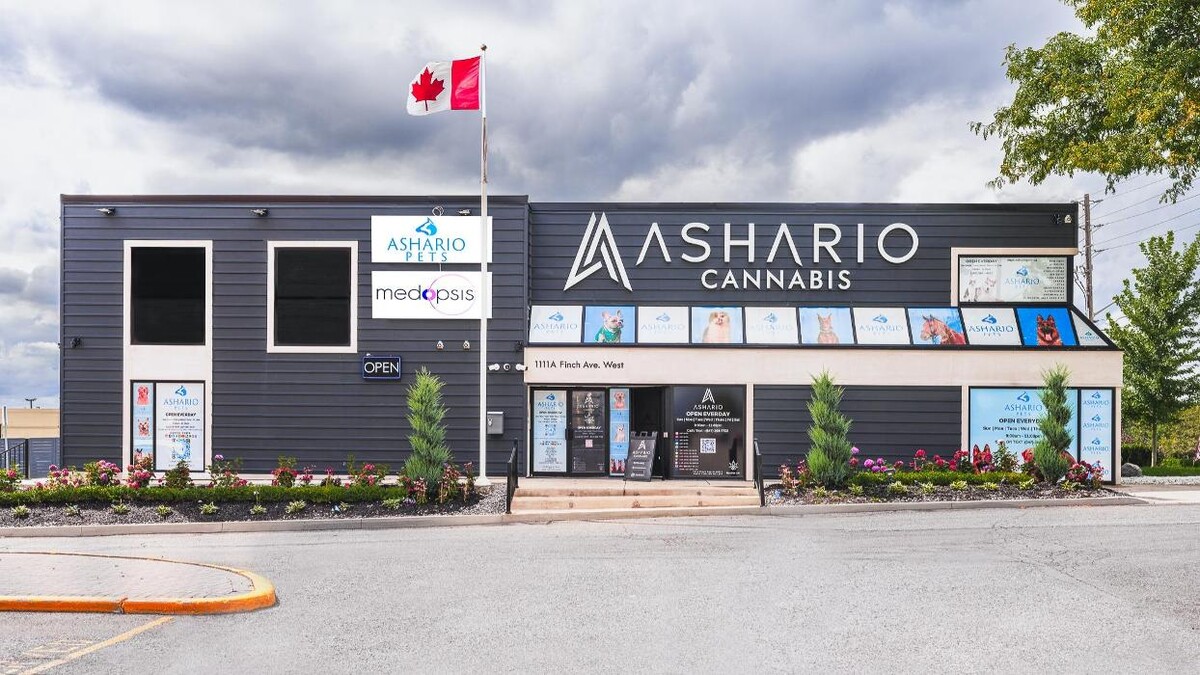 Images Ashario Cannabis Dispensary Weed Store - North York - 1111A Finch Ave West Unit 1 - M3J 2P7 - Vaughan & Richmond Hill