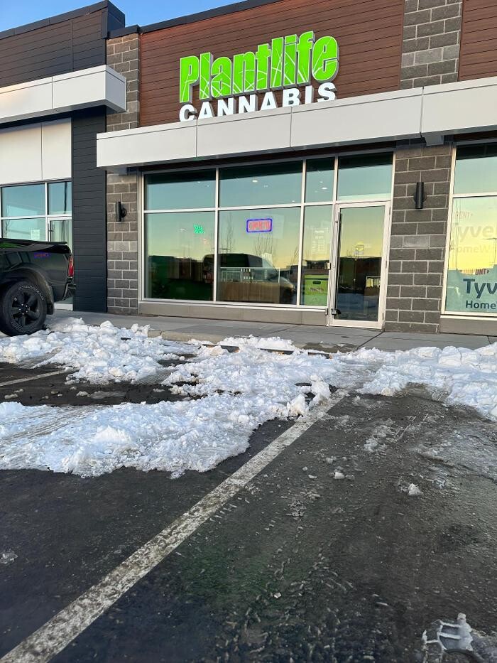 Images Plantlife Cannabis Seton Calgary