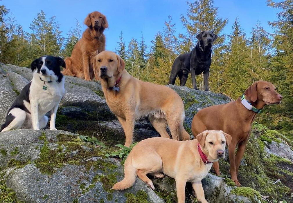 Images Adventures Unleashed