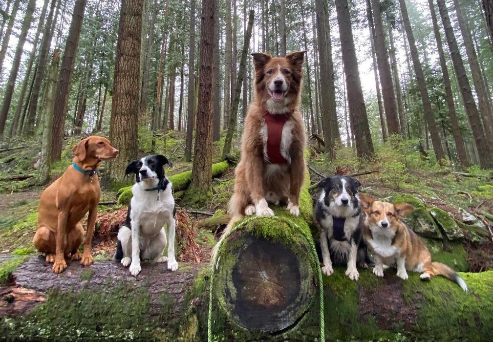 Images Adventures Unleashed