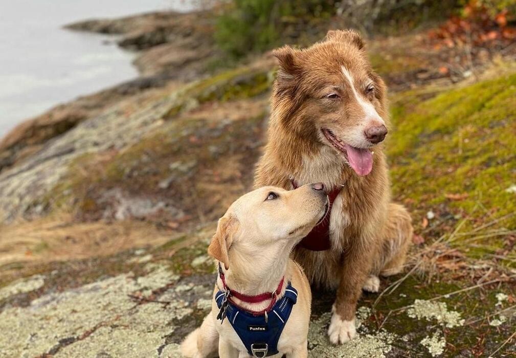 Images Adventures Unleashed