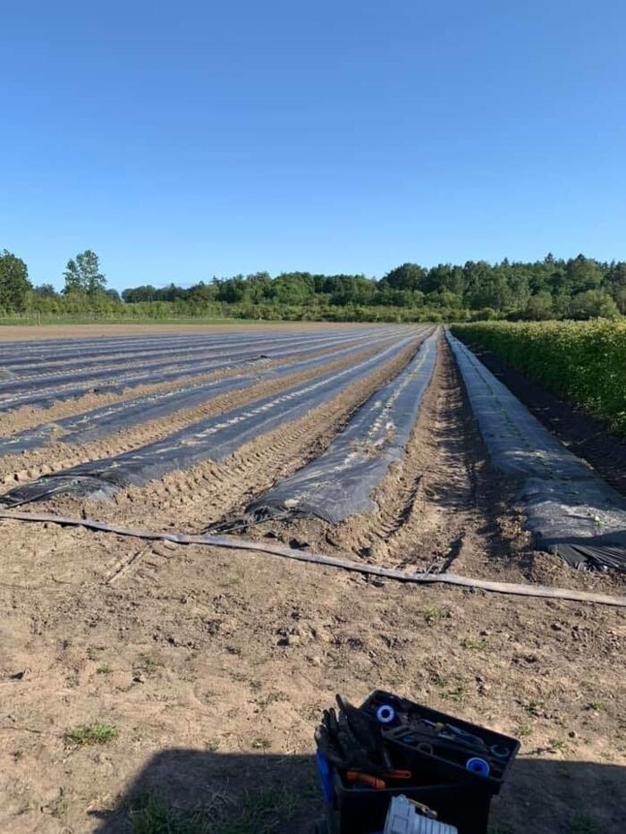 Images Lofts Irrigation Systems